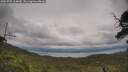 ./images/calvert/fitz-hugh-hecate/20250709/fitz-hugh-hecate20250709_164010M.jpg