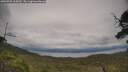 ./images/calvert/fitz-hugh-hecate/20250709/fitz-hugh-hecate20250709_165009M.jpg