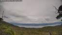 ./images/calvert/fitz-hugh-hecate/20250709/fitz-hugh-hecate20250709_165509M.jpg