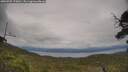 ./images/calvert/fitz-hugh-hecate/20250709/fitz-hugh-hecate20250709_170011M.jpg
