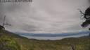 ./images/calvert/fitz-hugh-hecate/20250709/fitz-hugh-hecate20250709_170510M.jpg