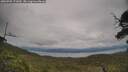 ./images/calvert/fitz-hugh-hecate/20250709/fitz-hugh-hecate20250709_171009M.jpg