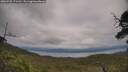 ./images/calvert/fitz-hugh-hecate/20250709/fitz-hugh-hecate20250709_171511M.jpg