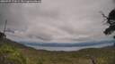 ./images/calvert/fitz-hugh-hecate/20250709/fitz-hugh-hecate20250709_172009M.jpg