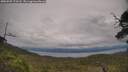 ./images/calvert/fitz-hugh-hecate/20250709/fitz-hugh-hecate20250709_173508M.jpg