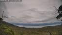 ./images/calvert/fitz-hugh-hecate/20250709/fitz-hugh-hecate20250709_174009M.jpg