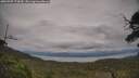 ./images/calvert/fitz-hugh-hecate/20250709/fitz-hugh-hecate20250709_174510M.jpg