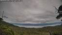 ./images/calvert/fitz-hugh-hecate/20250709/fitz-hugh-hecate20250709_175507M.jpg