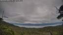 ./images/calvert/fitz-hugh-hecate/20250709/fitz-hugh-hecate20250709_180012M.jpg