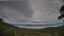 ./images/calvert/fitz-hugh-hecate/20250709/fitz-hugh-hecate20250709_181510M.jpg