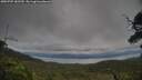 ./images/calvert/fitz-hugh-hecate/20250709/fitz-hugh-hecate20250709_182510M.jpg