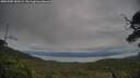 ./images/calvert/fitz-hugh-hecate/20250709/fitz-hugh-hecate20250709_183509M.jpg