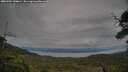 ./images/calvert/fitz-hugh-hecate/20250709/fitz-hugh-hecate20250709_184009M.jpg