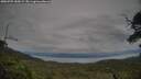 ./images/calvert/fitz-hugh-hecate/20250709/fitz-hugh-hecate20250709_184508M.jpg
