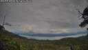./images/calvert/fitz-hugh-hecate/20250709/fitz-hugh-hecate20250709_185510M.jpg