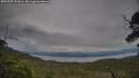 ./images/calvert/fitz-hugh-hecate/20250709/fitz-hugh-hecate20250709_191006M.jpg