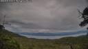 ./images/calvert/fitz-hugh-hecate/20250709/fitz-hugh-hecate20250709_191509M.jpg