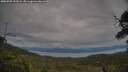 ./images/calvert/fitz-hugh-hecate/20250709/fitz-hugh-hecate20250709_192008M.jpg