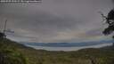 ./images/calvert/fitz-hugh-hecate/20250709/fitz-hugh-hecate20250709_193509M.jpg