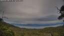 ./images/calvert/fitz-hugh-hecate/20250709/fitz-hugh-hecate20250709_194009M.jpg
