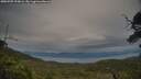 ./images/calvert/fitz-hugh-hecate/20250709/fitz-hugh-hecate20250709_194506M.jpg