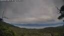 ./images/calvert/fitz-hugh-hecate/20250709/fitz-hugh-hecate20250709_195008M.jpg