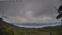 ./images/calvert/fitz-hugh-hecate/20250709/fitz-hugh-hecate20250709_195507M.jpg