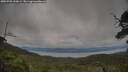 ./images/calvert/fitz-hugh-hecate/20250709/fitz-hugh-hecate20250709_200009M.jpg