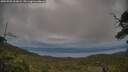 ./images/calvert/fitz-hugh-hecate/20250709/fitz-hugh-hecate20250709_201009M.jpg