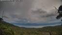 ./images/calvert/fitz-hugh-hecate/20250709/fitz-hugh-hecate20250709_202009M.jpg