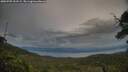 ./images/calvert/fitz-hugh-hecate/20250709/fitz-hugh-hecate20250709_202508M.jpg