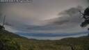 ./images/calvert/fitz-hugh-hecate/20250709/fitz-hugh-hecate20250709_203009M.jpg