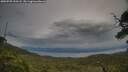 ./images/calvert/fitz-hugh-hecate/20250709/fitz-hugh-hecate20250709_203508M.jpg