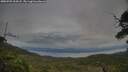 ./images/calvert/fitz-hugh-hecate/20250709/fitz-hugh-hecate20250709_204508M.jpg