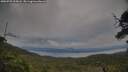 ./images/calvert/fitz-hugh-hecate/20250709/fitz-hugh-hecate20250709_205007M.jpg
