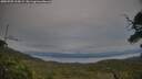 ./images/calvert/fitz-hugh-hecate/20250709/fitz-hugh-hecate20250709_210009M.jpg
