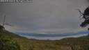 ./images/calvert/fitz-hugh-hecate/20250709/fitz-hugh-hecate20250709_210507M.jpg