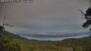 ./images/calvert/fitz-hugh-hecate/20250709/fitz-hugh-hecate20250709_211009M.jpg