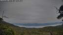 ./images/calvert/fitz-hugh-hecate/20250709/fitz-hugh-hecate20250709_214009M.jpg