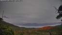 ./images/calvert/fitz-hugh-hecate/20250709/fitz-hugh-hecate20250709_214507M.jpg