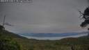 ./images/calvert/fitz-hugh-hecate/20250709/fitz-hugh-hecate20250709_215008M.jpg