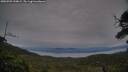 ./images/calvert/fitz-hugh-hecate/20250709/fitz-hugh-hecate20250709_220008M.jpg