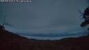 ./images/calvert/fitz-hugh-hecate/20250709/fitz-hugh-hecate20250709_222509M.jpg