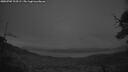 ./images/calvert/fitz-hugh-hecate/20250709/fitz-hugh-hecate20250709_223509M.jpg