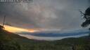 ./images/calvert/fitz-hugh-hecate/20250710/fitz-hugh-hecate20250710_054008M.jpg
