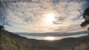 ./images/calvert/fitz-hugh-hecate/20250710/fitz-hugh-hecate20250710_074509M.jpg