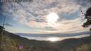 ./images/calvert/fitz-hugh-hecate/20250710/fitz-hugh-hecate20250710_075510M.jpg