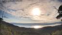 ./images/calvert/fitz-hugh-hecate/20250710/fitz-hugh-hecate20250710_080010M.jpg