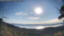 ./images/calvert/fitz-hugh-hecate/20250710/fitz-hugh-hecate20250710_081010M.jpg