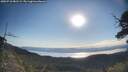 ./images/calvert/fitz-hugh-hecate/20250710/fitz-hugh-hecate20250710_081509M.jpg